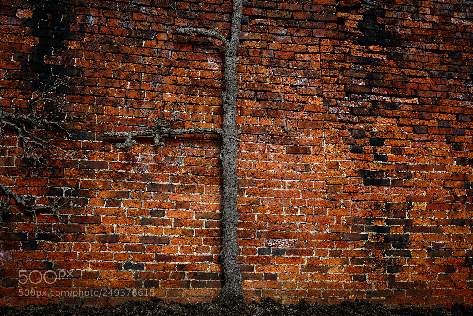 Sony a7R II sample photo. Wall photography