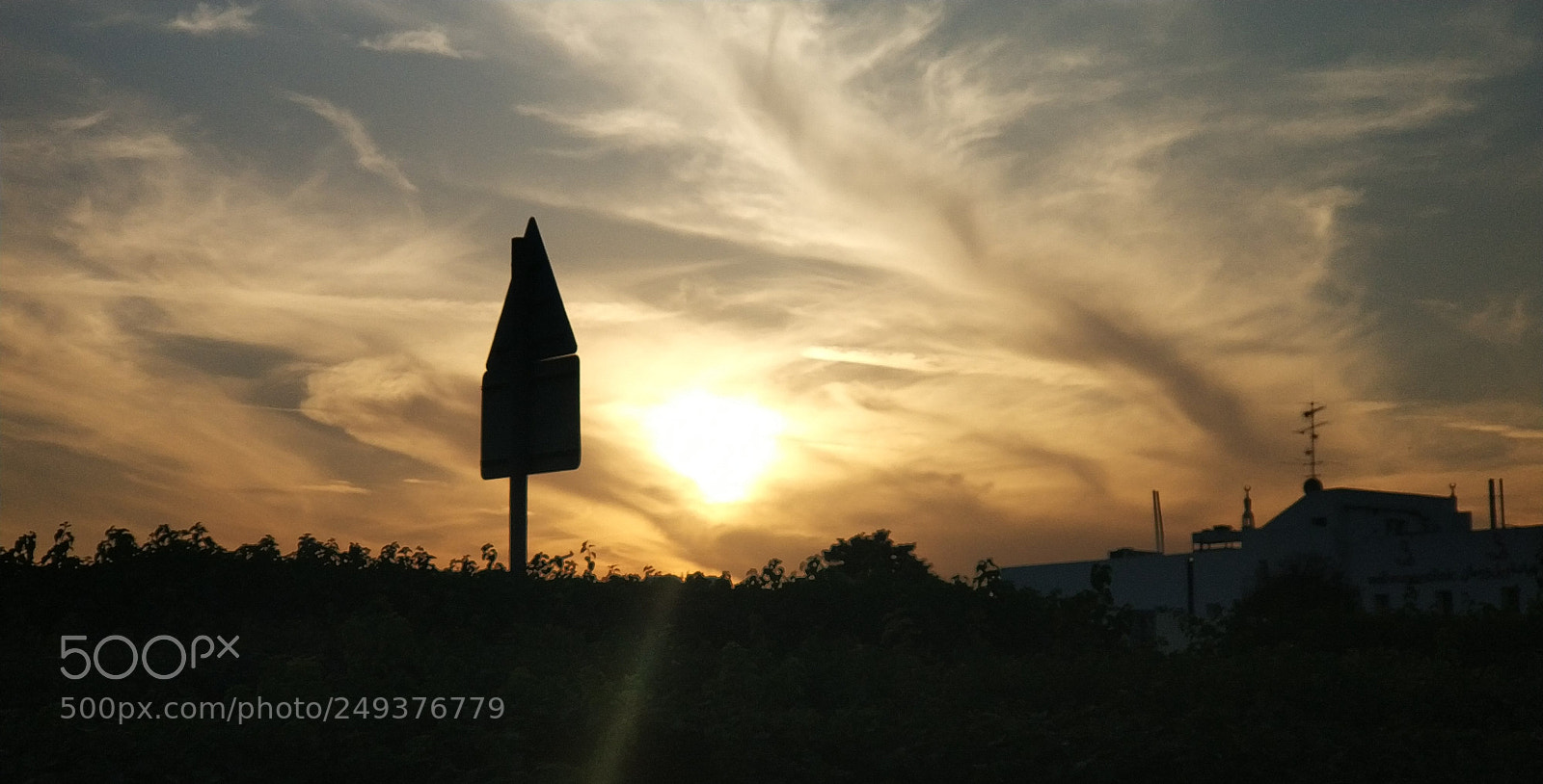 Xiaomi MI6 sample photo. Untitled photography