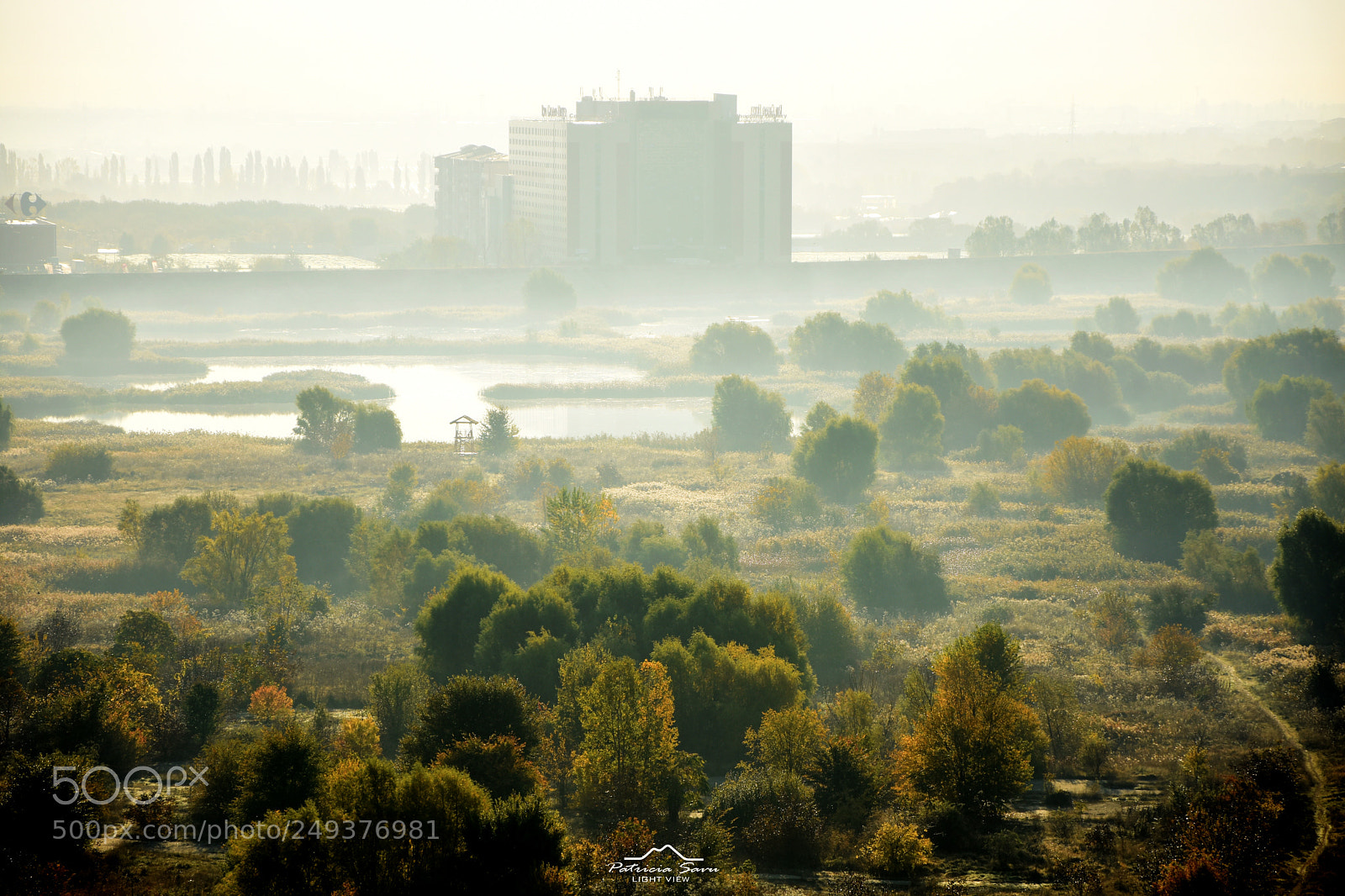 Nikon D7200 sample photo. Vacaresti nature park photography