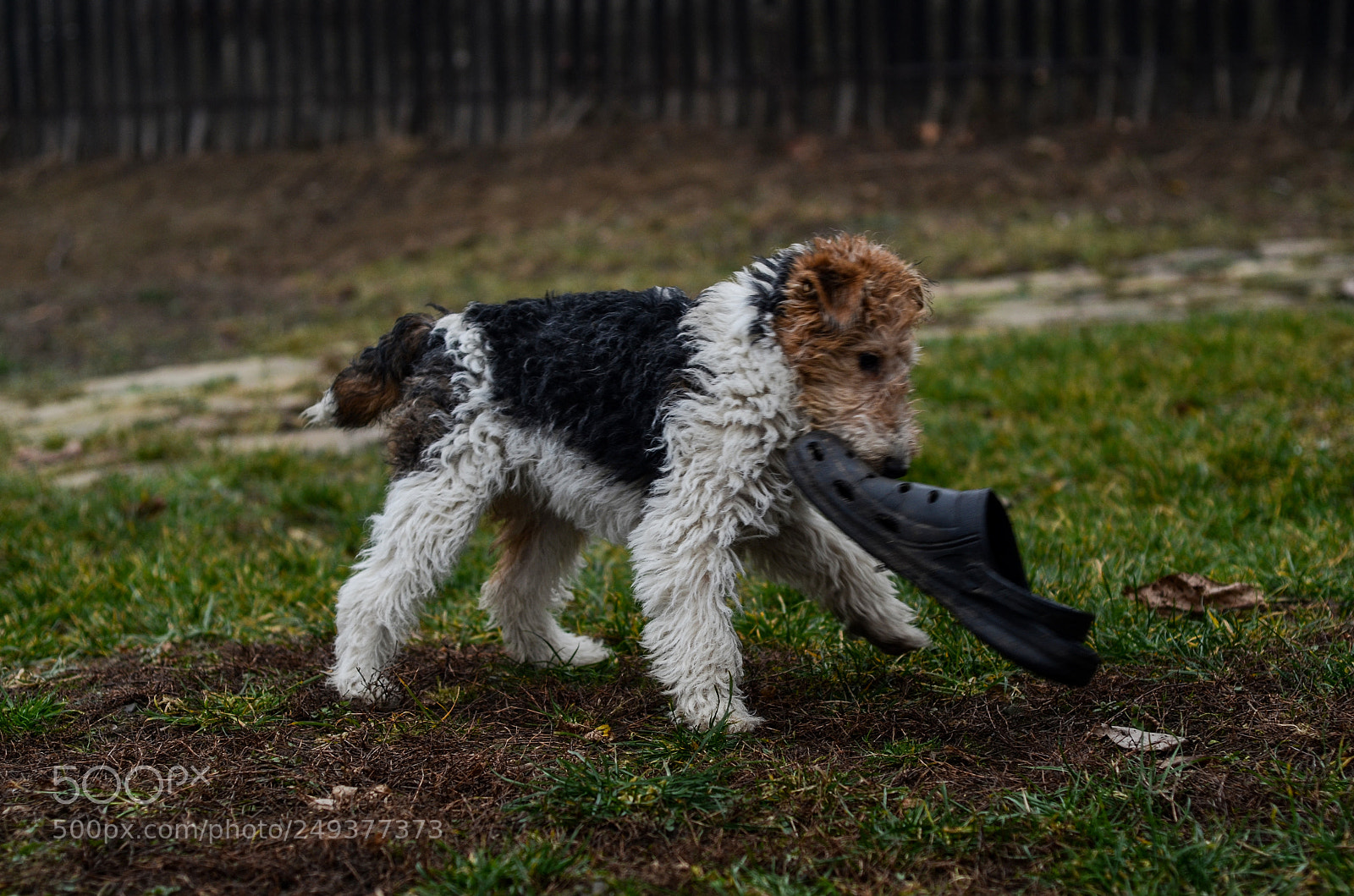 Nikon D7000 sample photo. Xena photography