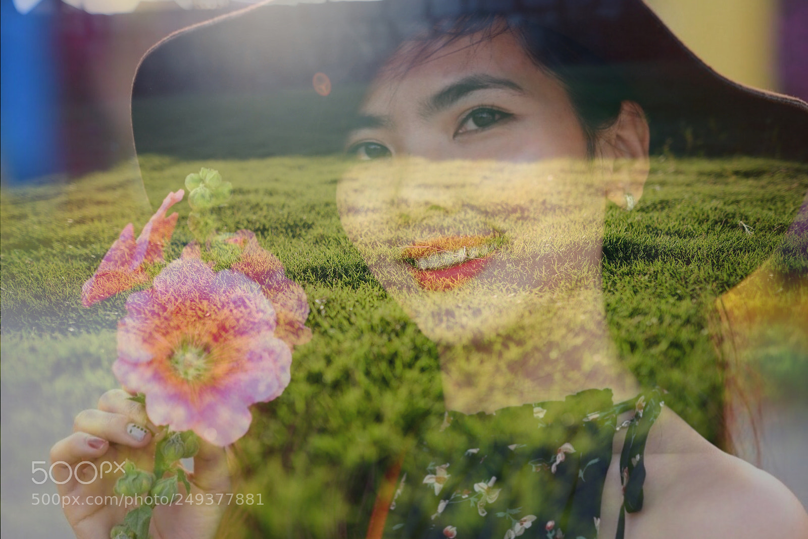 Nikon D600 sample photo. Untitled photography