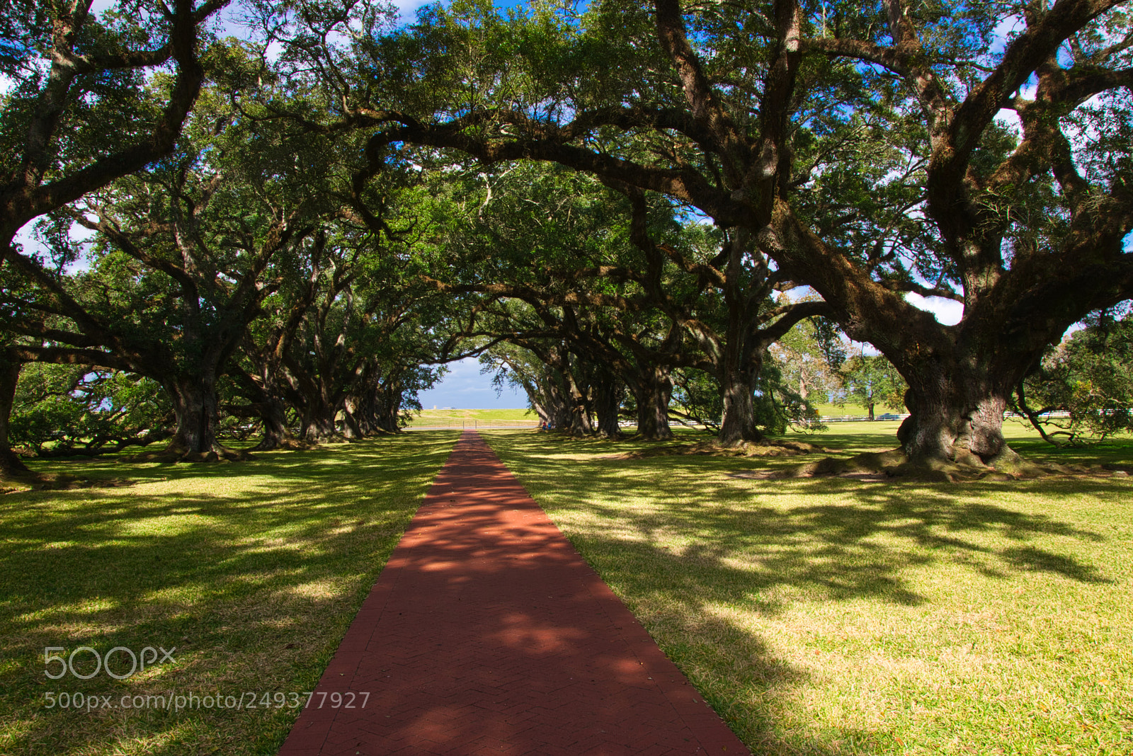 Nikon D5300 sample photo. Oak alley plantation, river photography