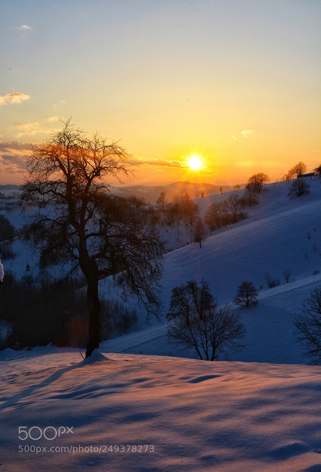 Nikon D7100 sample photo. ? photography