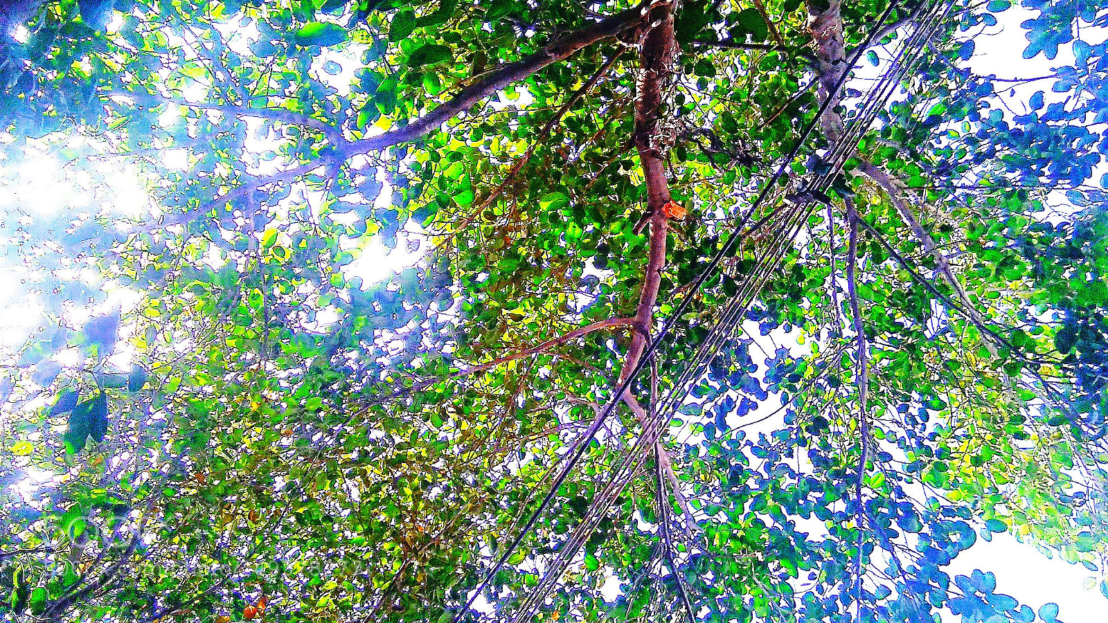 Xiaomi Redmi 4A sample photo. Untitled photography