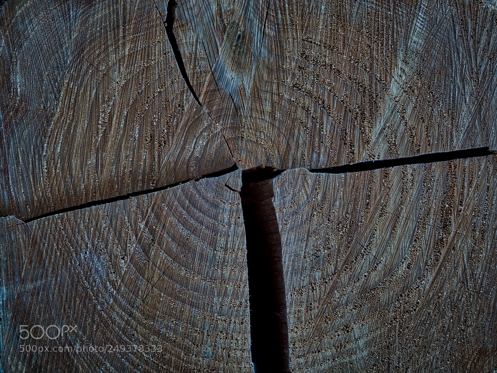 Olympus OM-D E-M1 Mark II sample photo. Natural wood grain texture photography