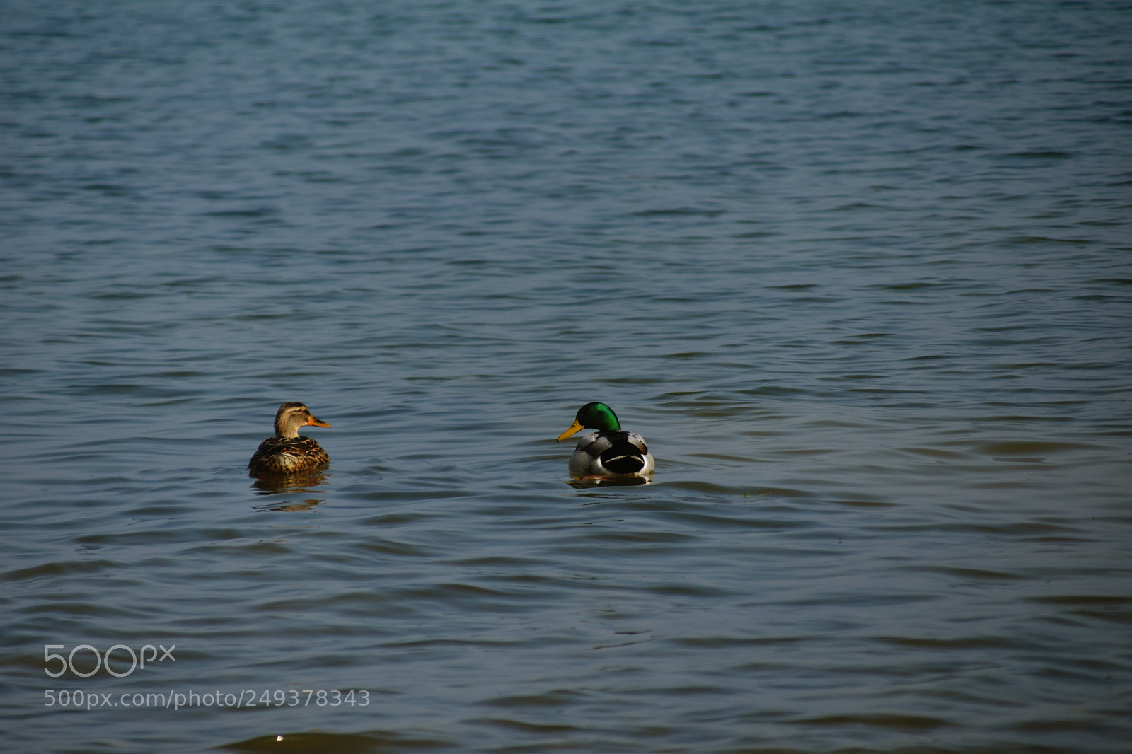 Nikon D3400 sample photo. Are you ready for photography