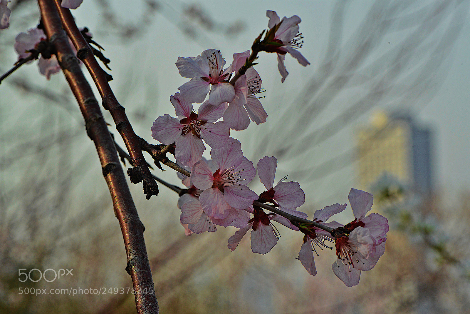 Nikon D800 sample photo. Untitled photography