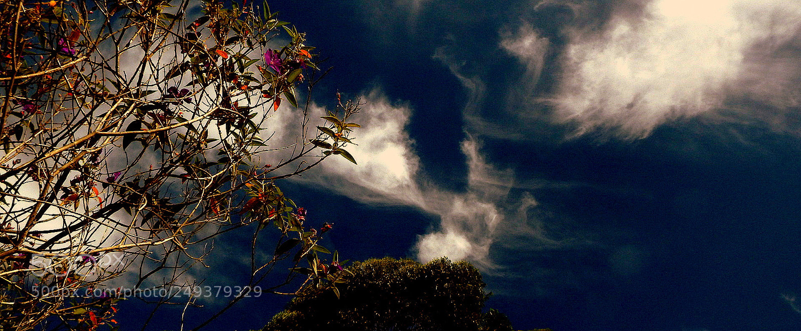 Fujifilm FinePix SL1000 sample photo. Colors in the sky ..... photography