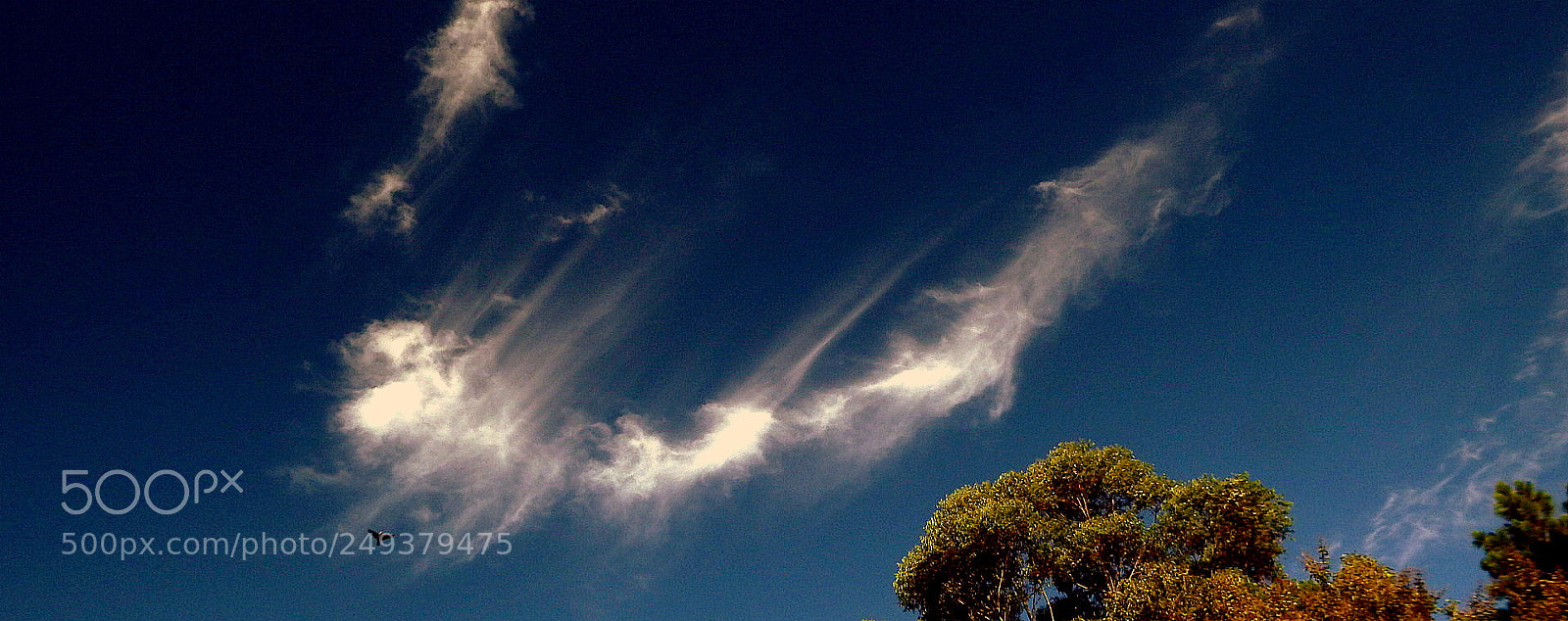 Fujifilm FinePix SL1000 sample photo. Picture in the sky ..... photography