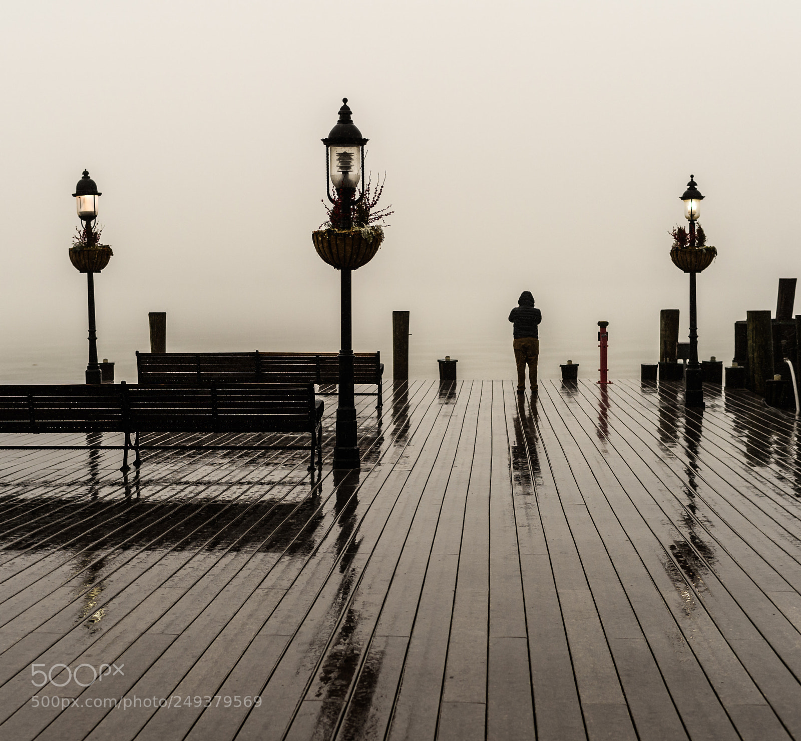 Nikon Df sample photo. Lost in the fog photography