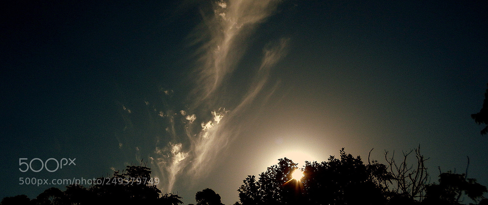 Fujifilm FinePix SL1000 sample photo. One picture .... photography