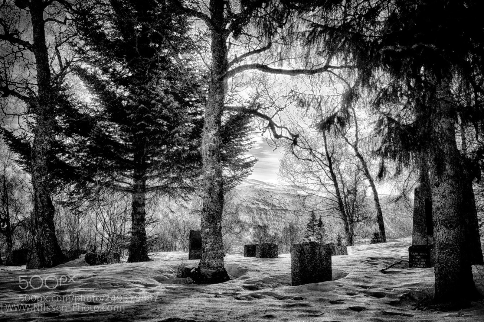 Nikon D500 sample photo. Sunrise at the cemetery photography