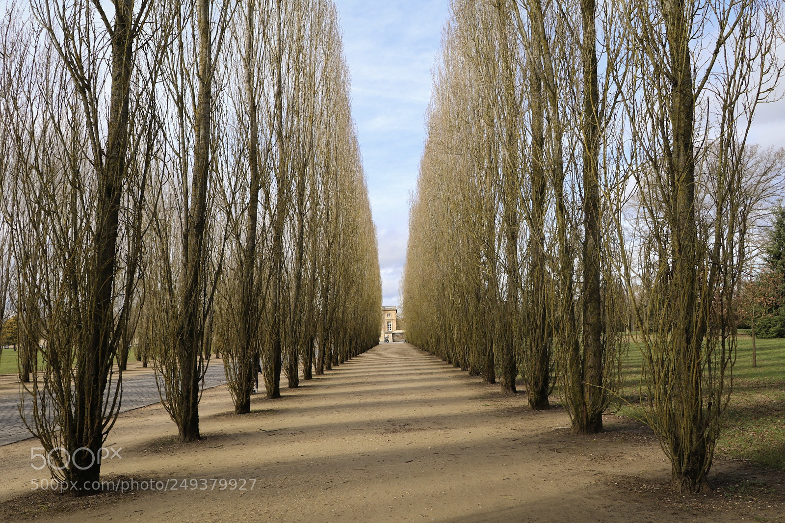 Canon EOS 80D sample photo. The gardens of versailles photography