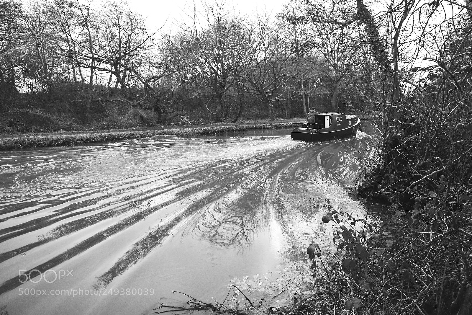 Nikon D5500 sample photo. Crockford bridge farm photography