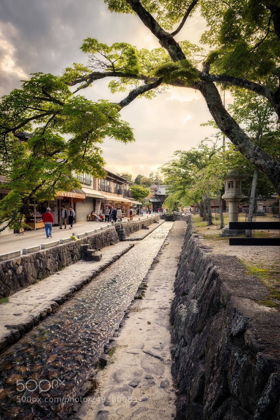 Nikon D610 sample photo. Miyajima photography