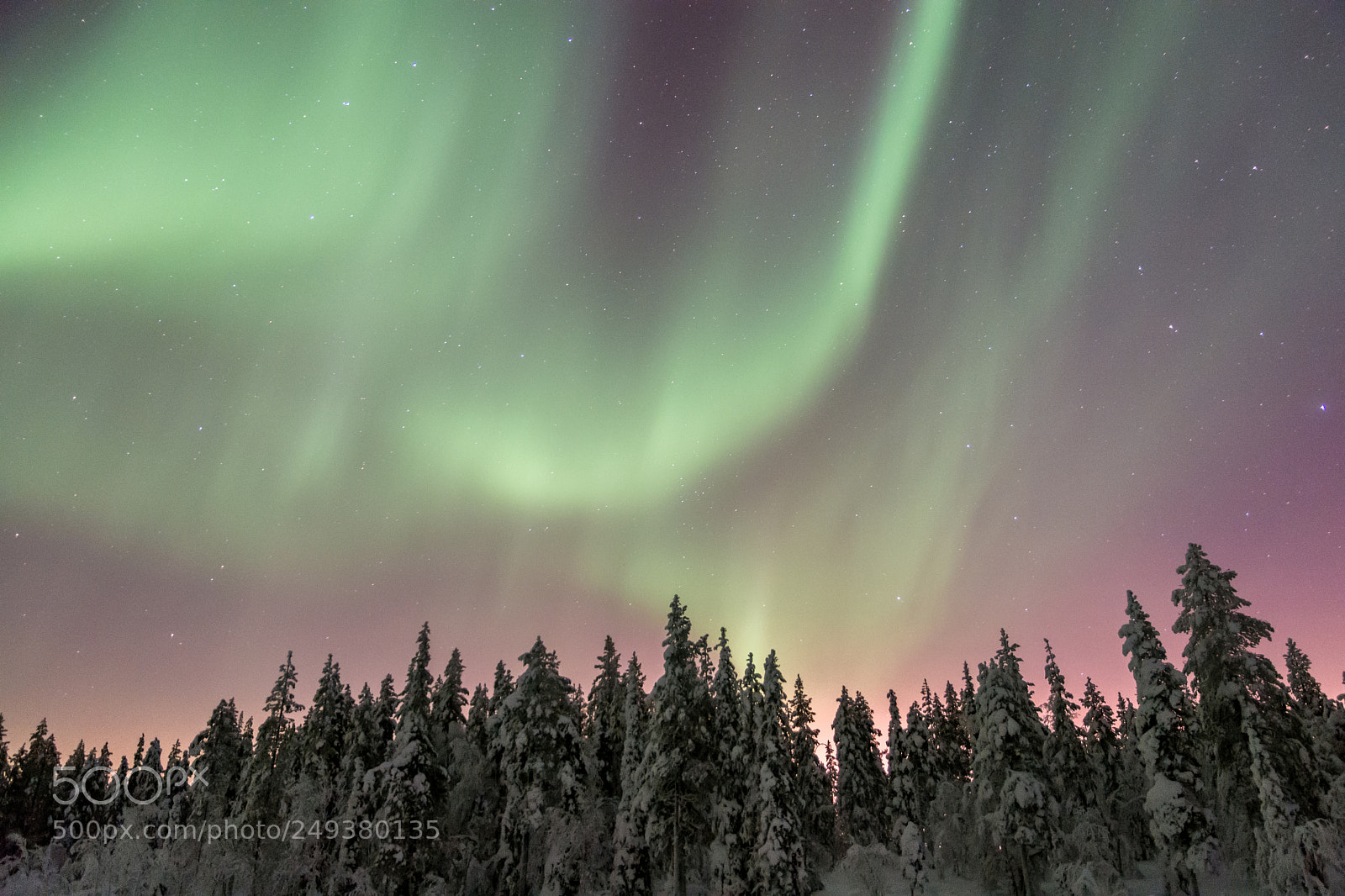 Nikon D7200 sample photo. Auroras photography