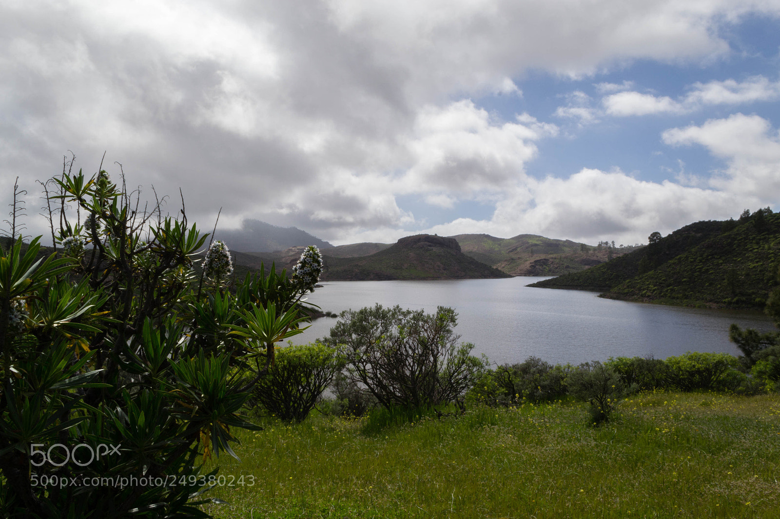 Nikon D3100 sample photo. Green nature landscape with photography
