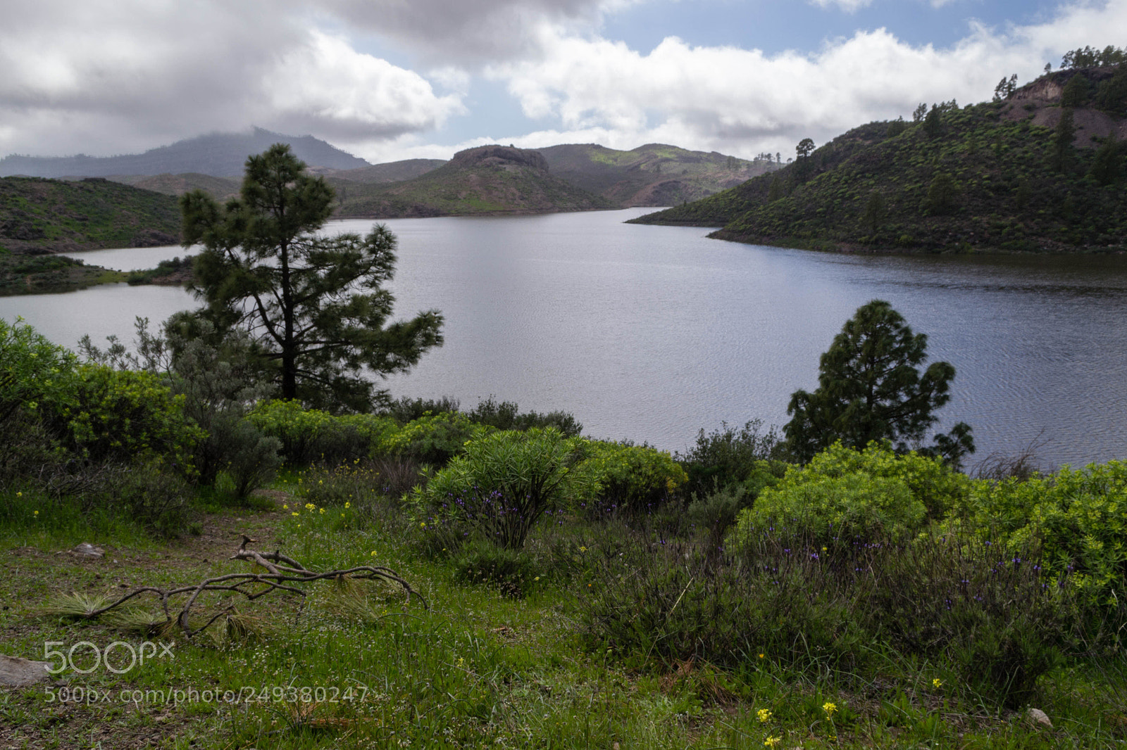 Nikon D3100 sample photo. Green nature landscape with photography
