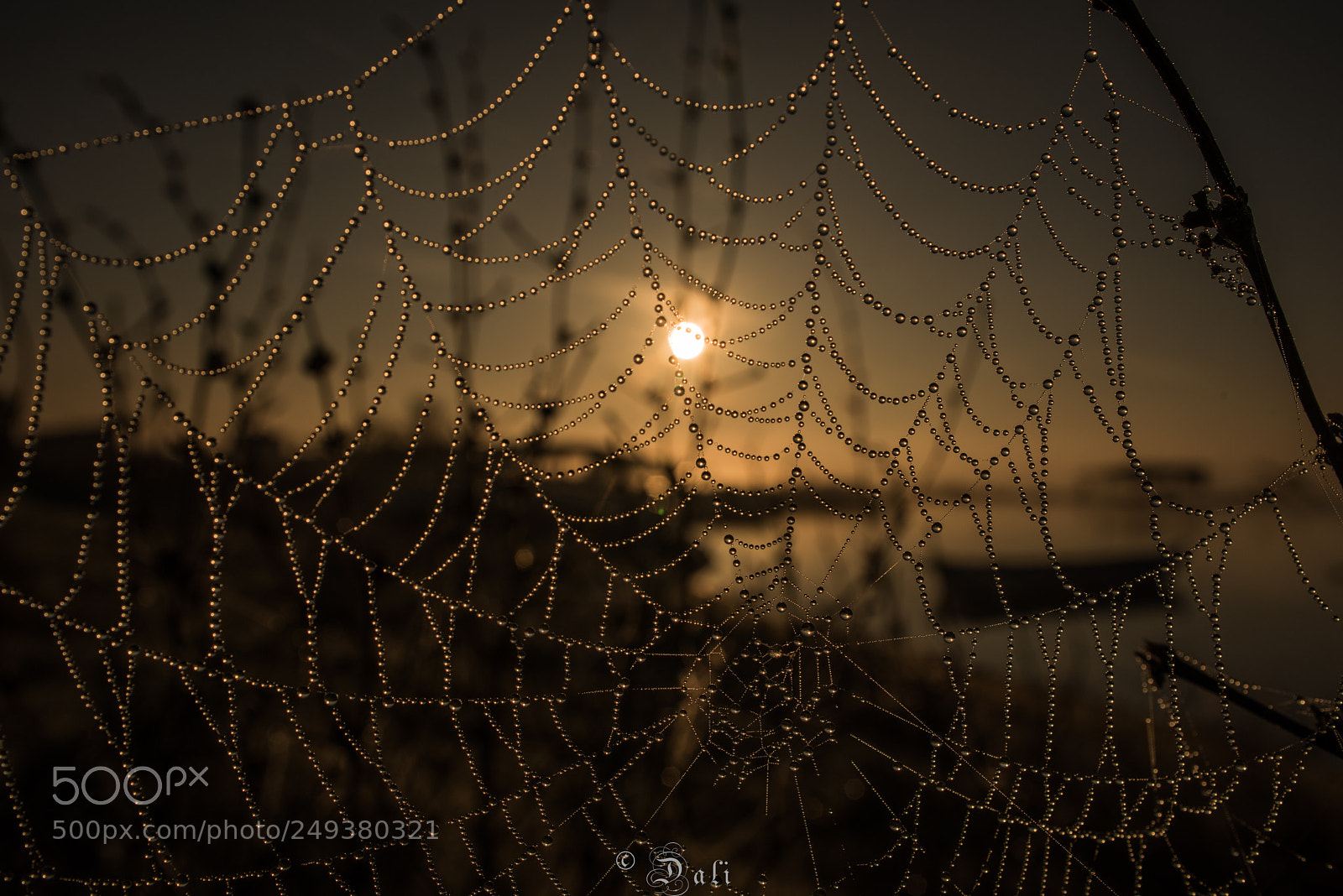 Nikon D810 sample photo. Mkh photography