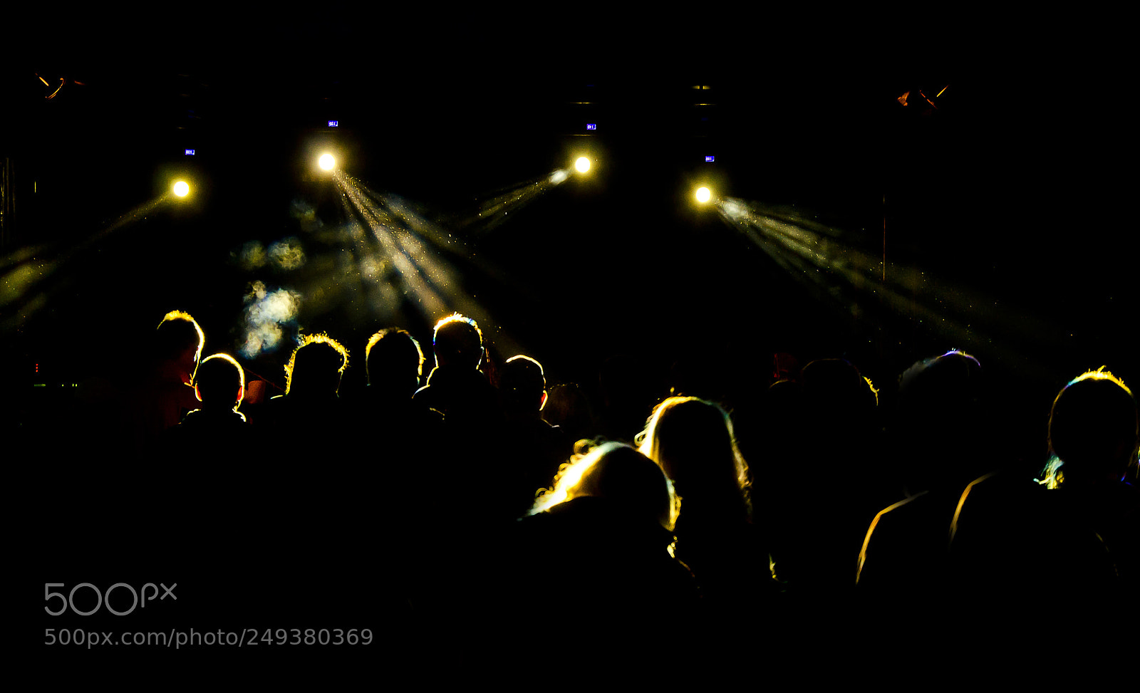 Nikon D7000 sample photo. Concert in the shadows photography