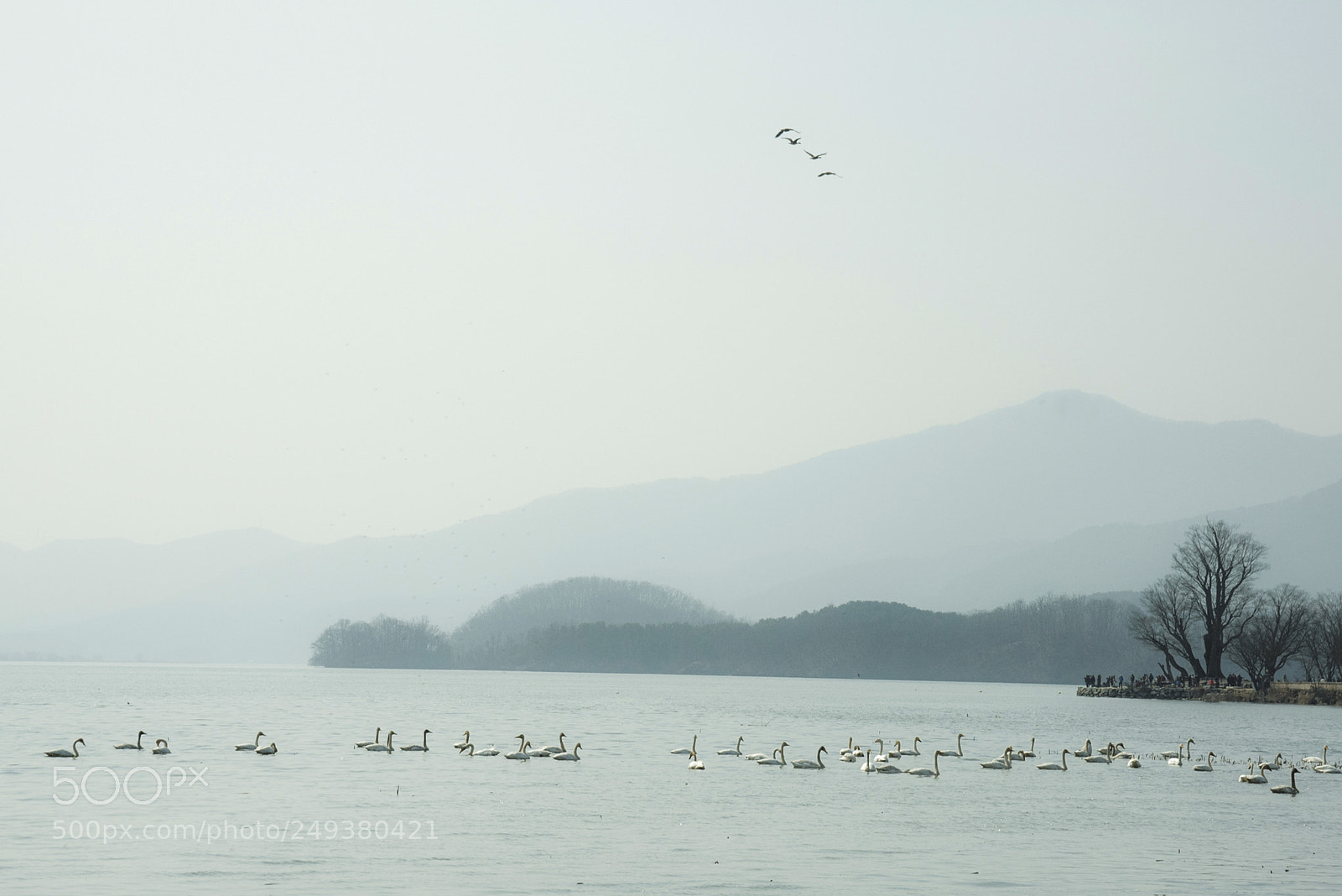 Nikon D810 sample photo. Foggy morning of a photography