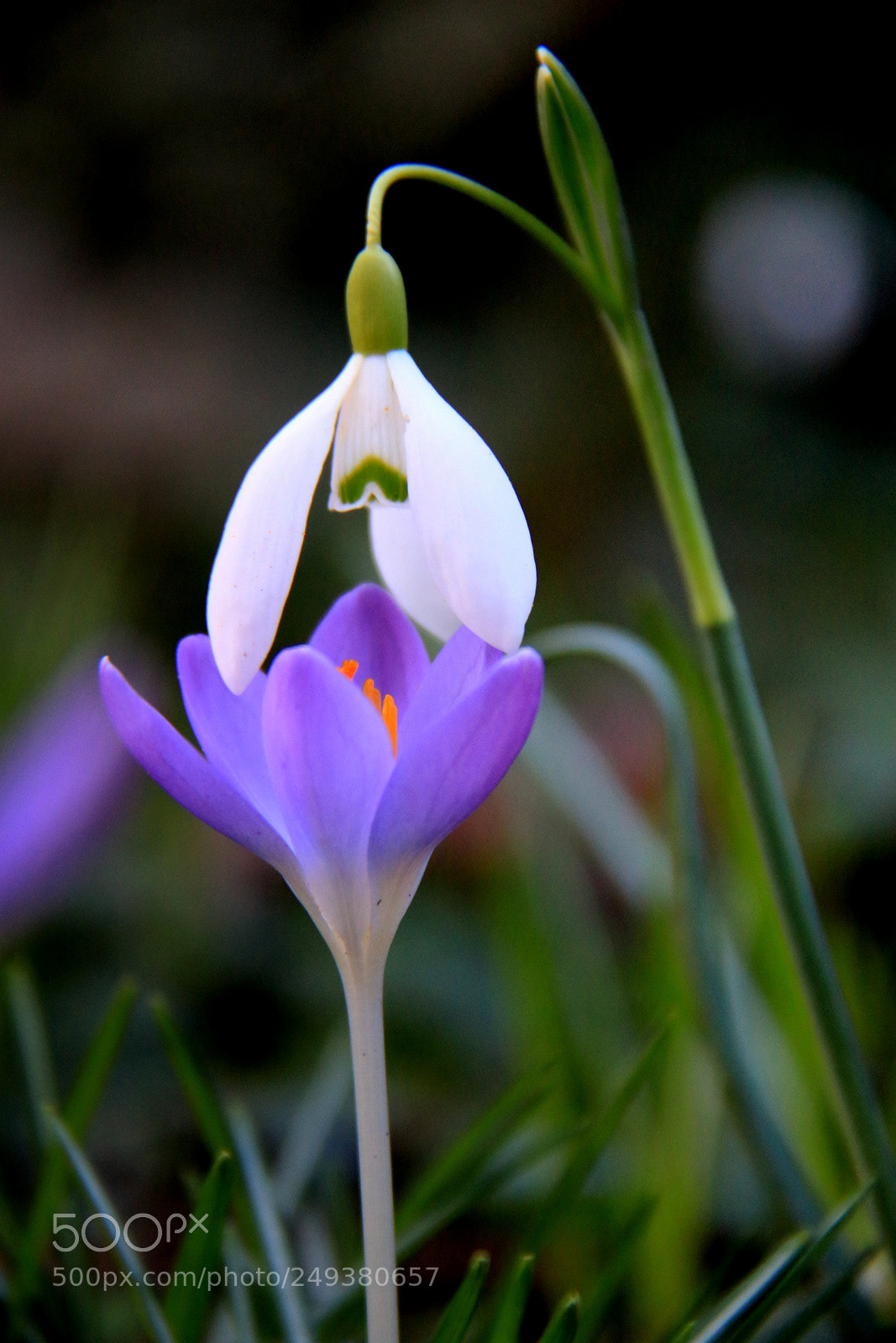 Canon EF-S 18-200mm F3.5-5.6 IS sample photo. Img photography
