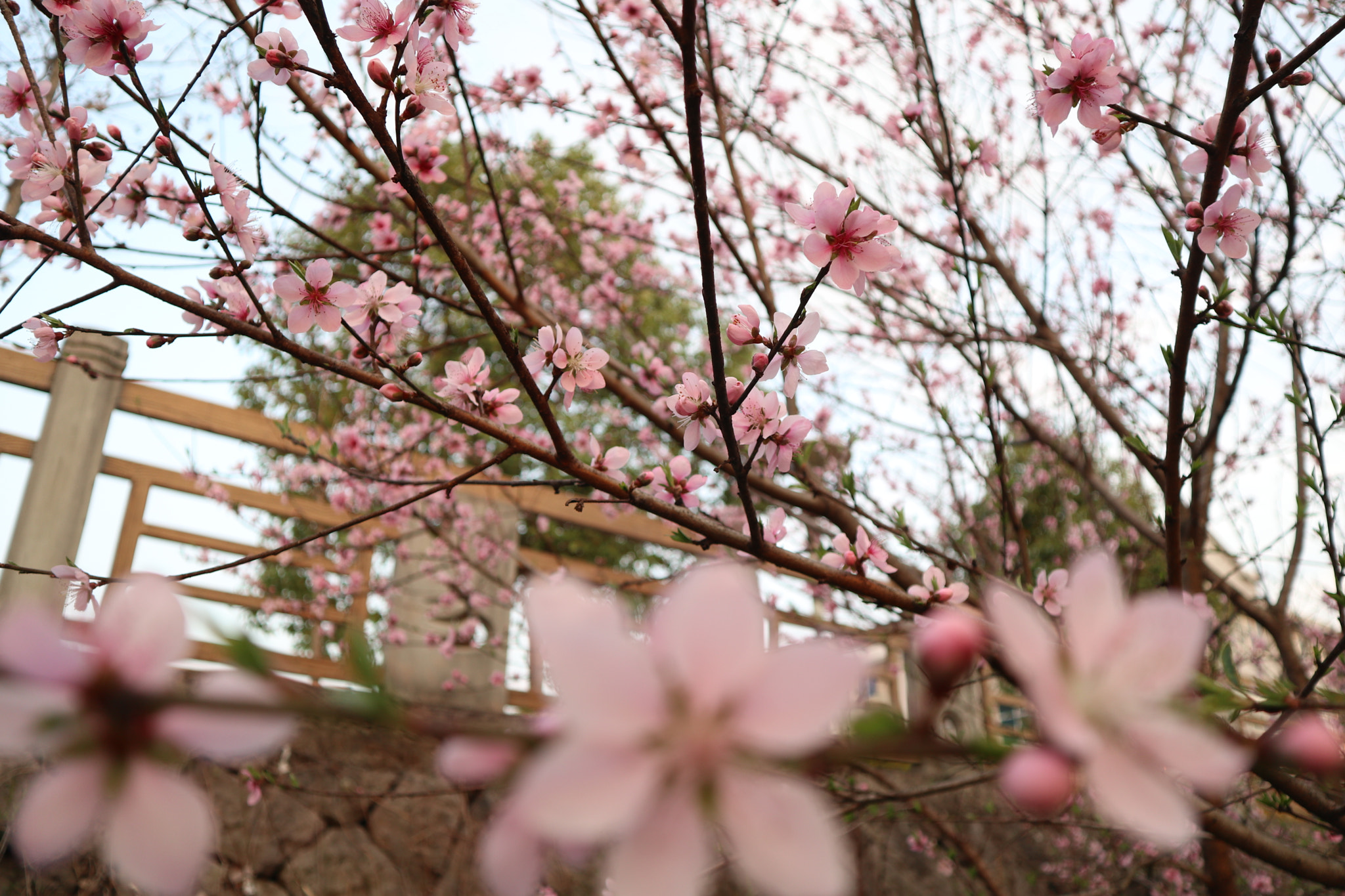 Canon EOS M6 sample photo