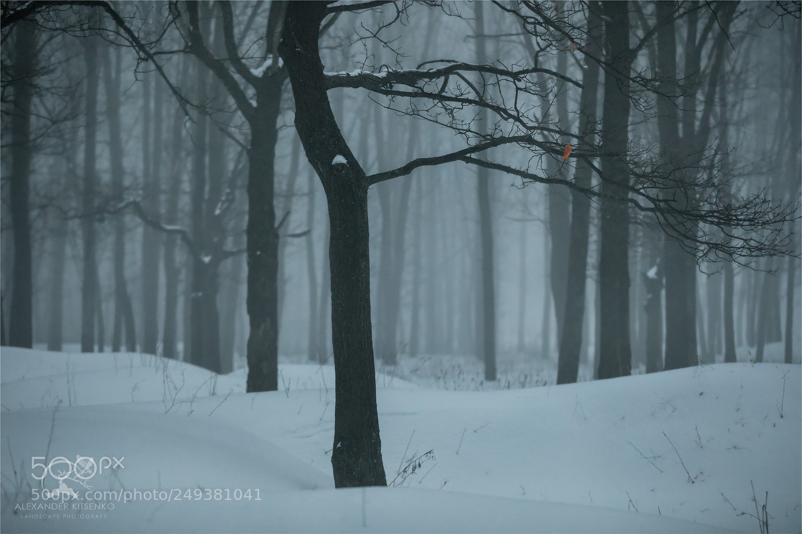 Canon EOS 5D Mark IV sample photo. Sadness. cold. loneliness. photography
