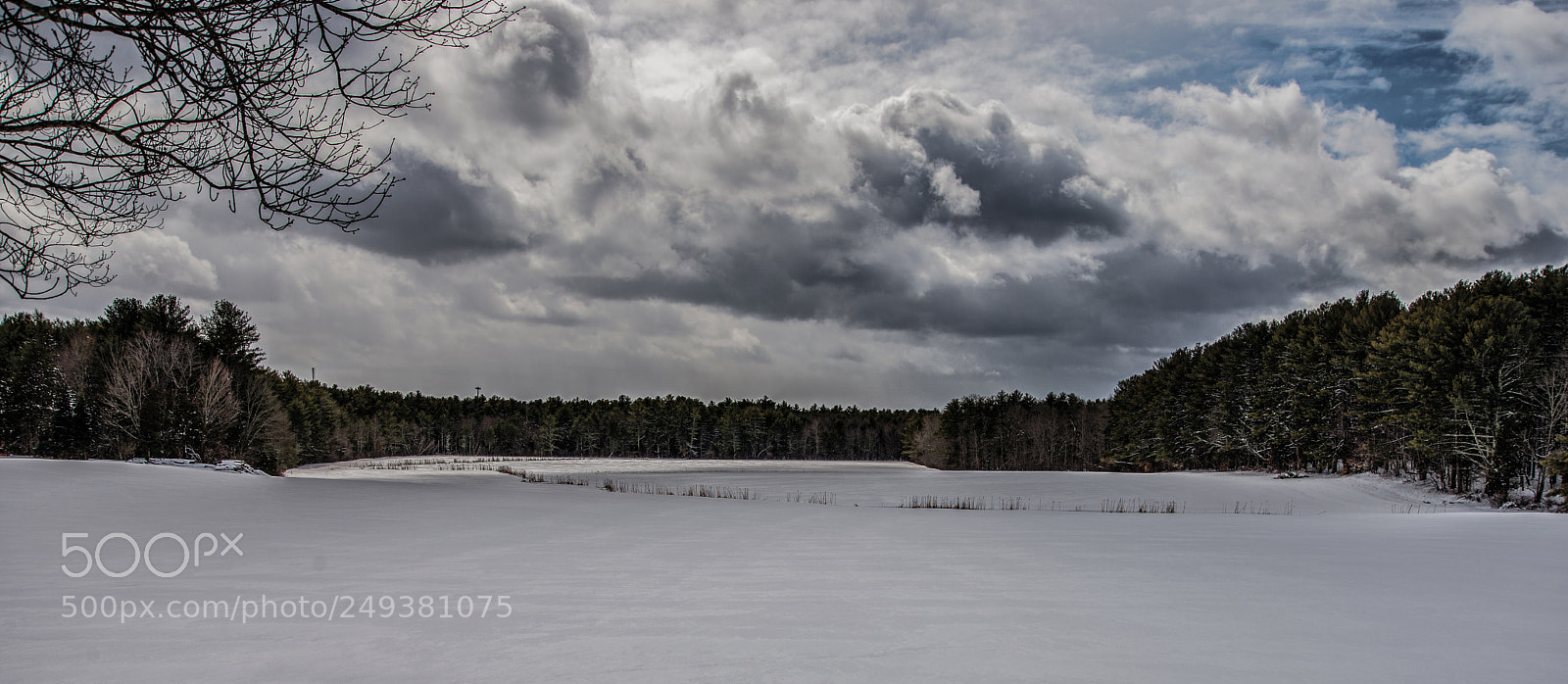 Nikon D610 sample photo. Snow field photography