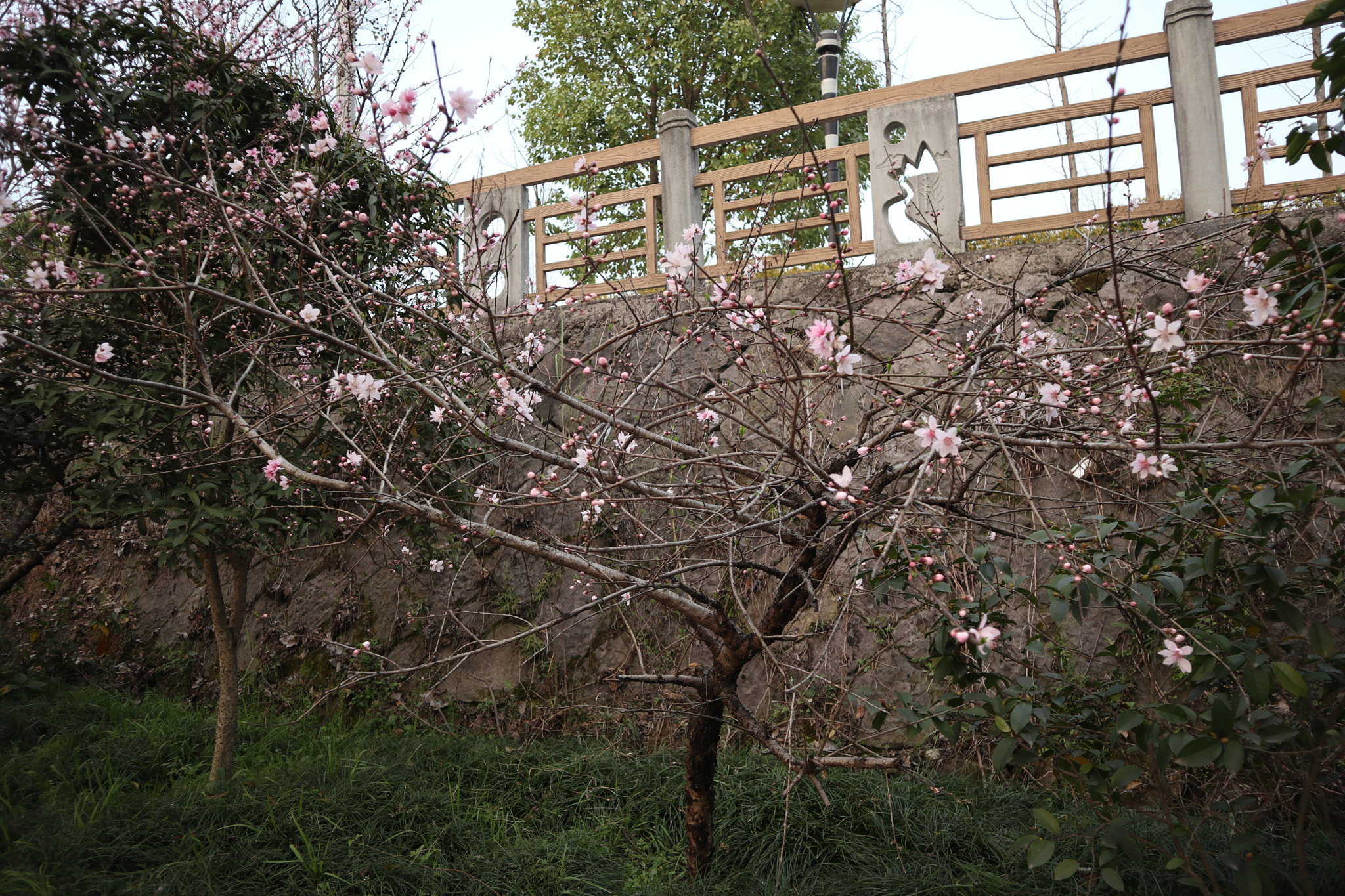 Canon EOS M6 sample photo