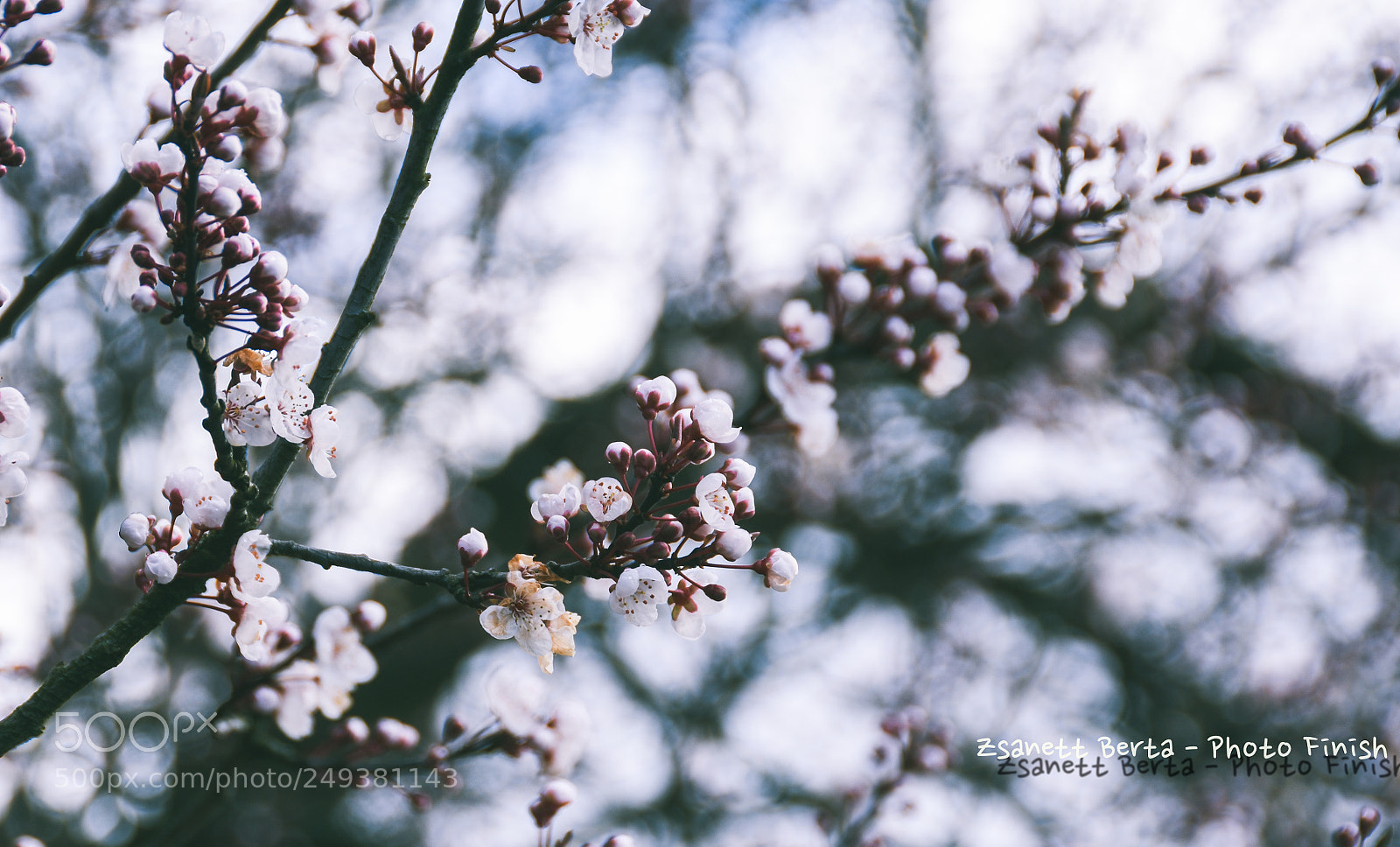 Nikon D7200 sample photo. Untitled photography