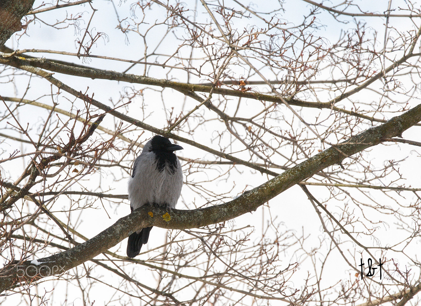 Canon EOS 7D sample photo. Untitled photography