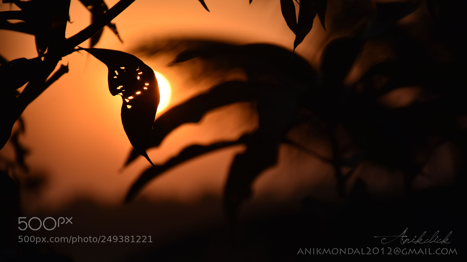 Nikon D7200 sample photo. Hide and seek photography