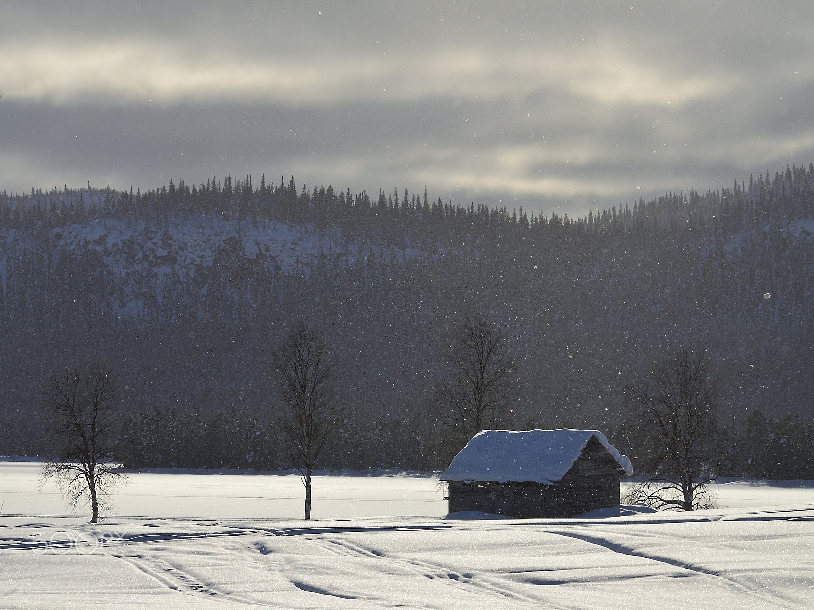 Nikon D5100 sample photo. Still life lapland photography