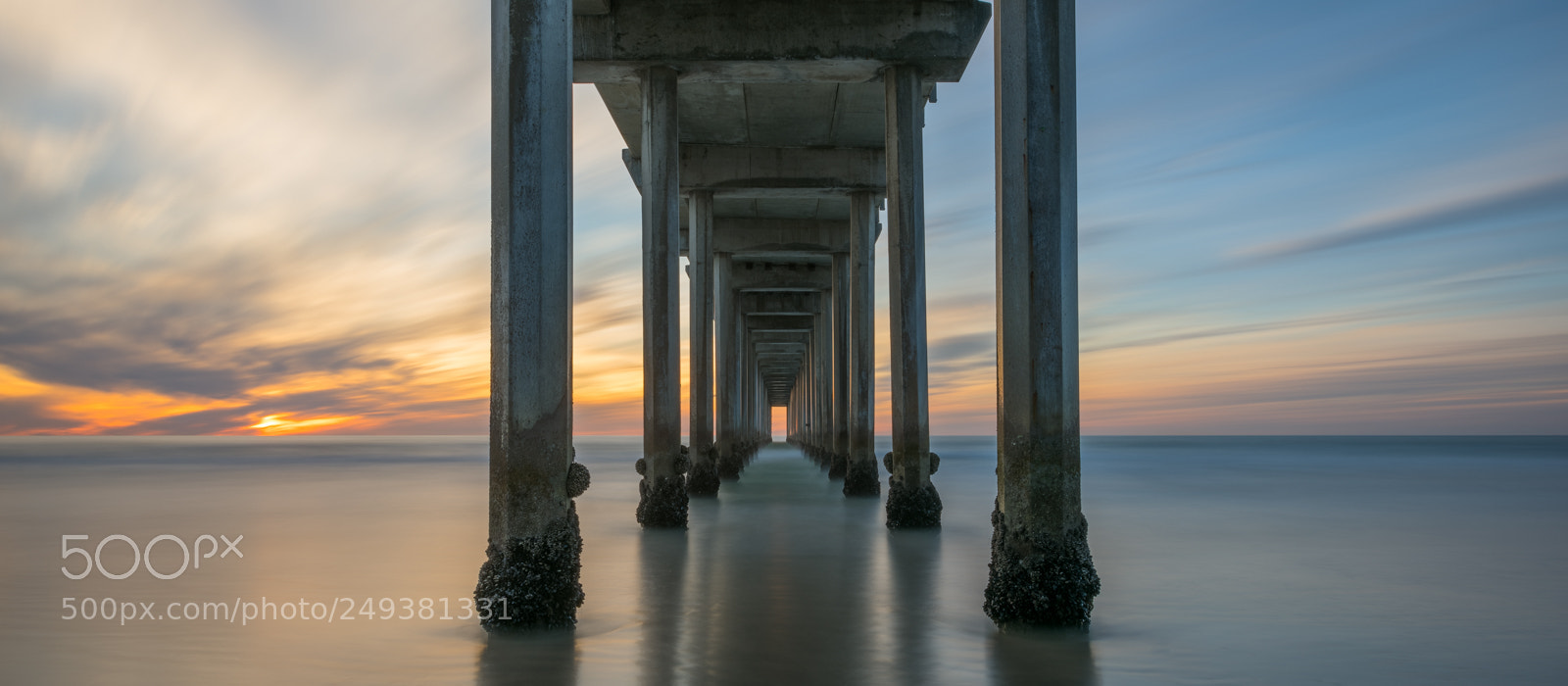 Nikon D810 sample photo. Tunnel vision photography