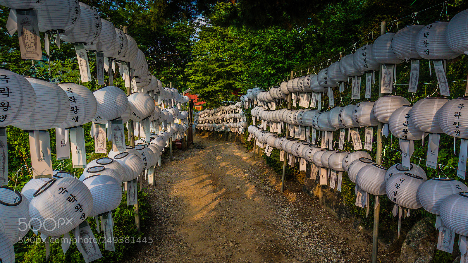 Sony Alpha NEX-5R sample photo. Bongeunsa temple, seoul photography
