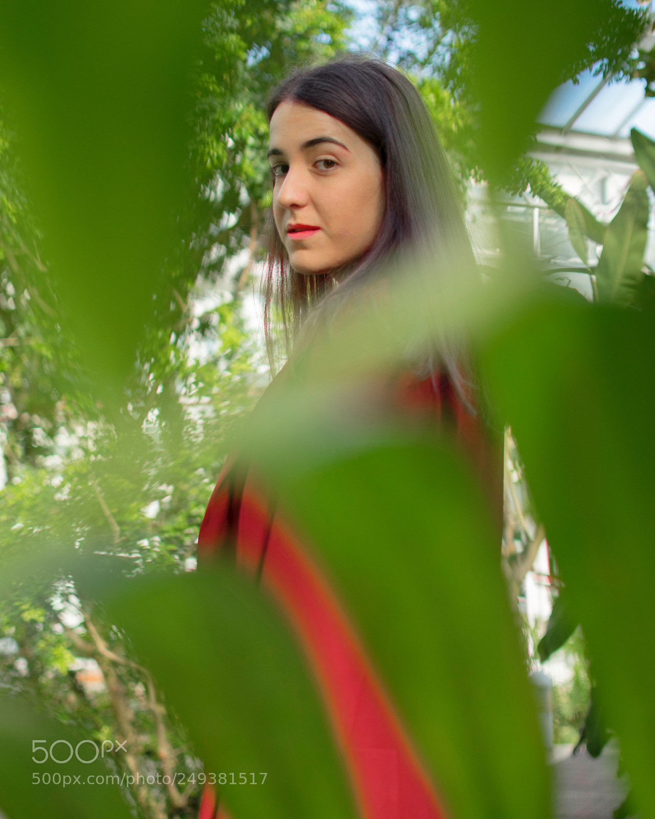 Nikon D3300 sample photo. Picture of the week photography