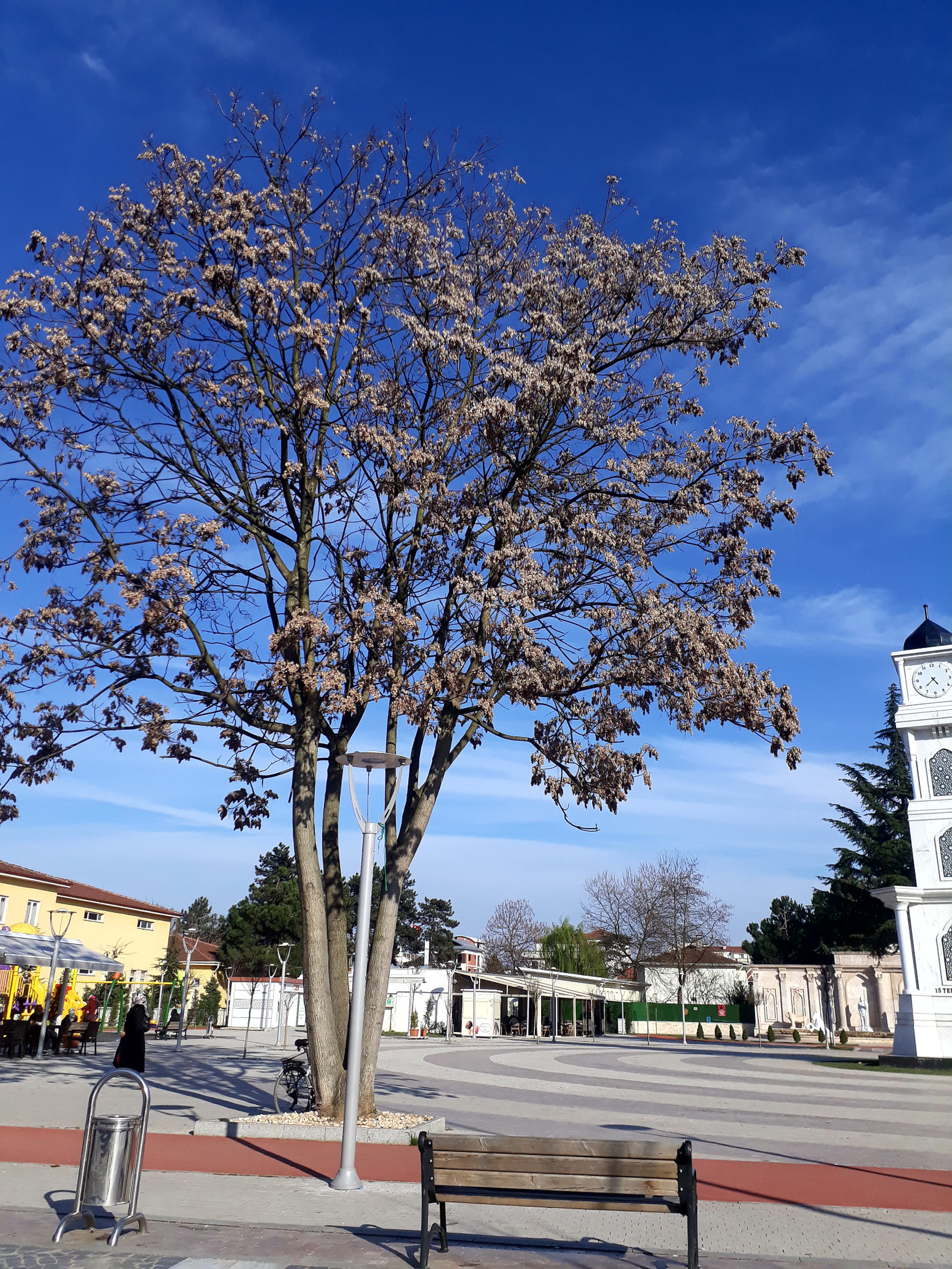 Samsung Galaxy A3(2017) sample photo