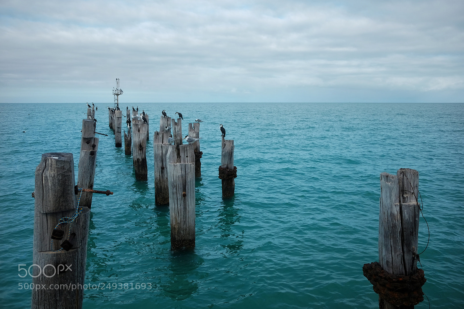 Fujifilm X70 sample photo. Skeleton pier photography