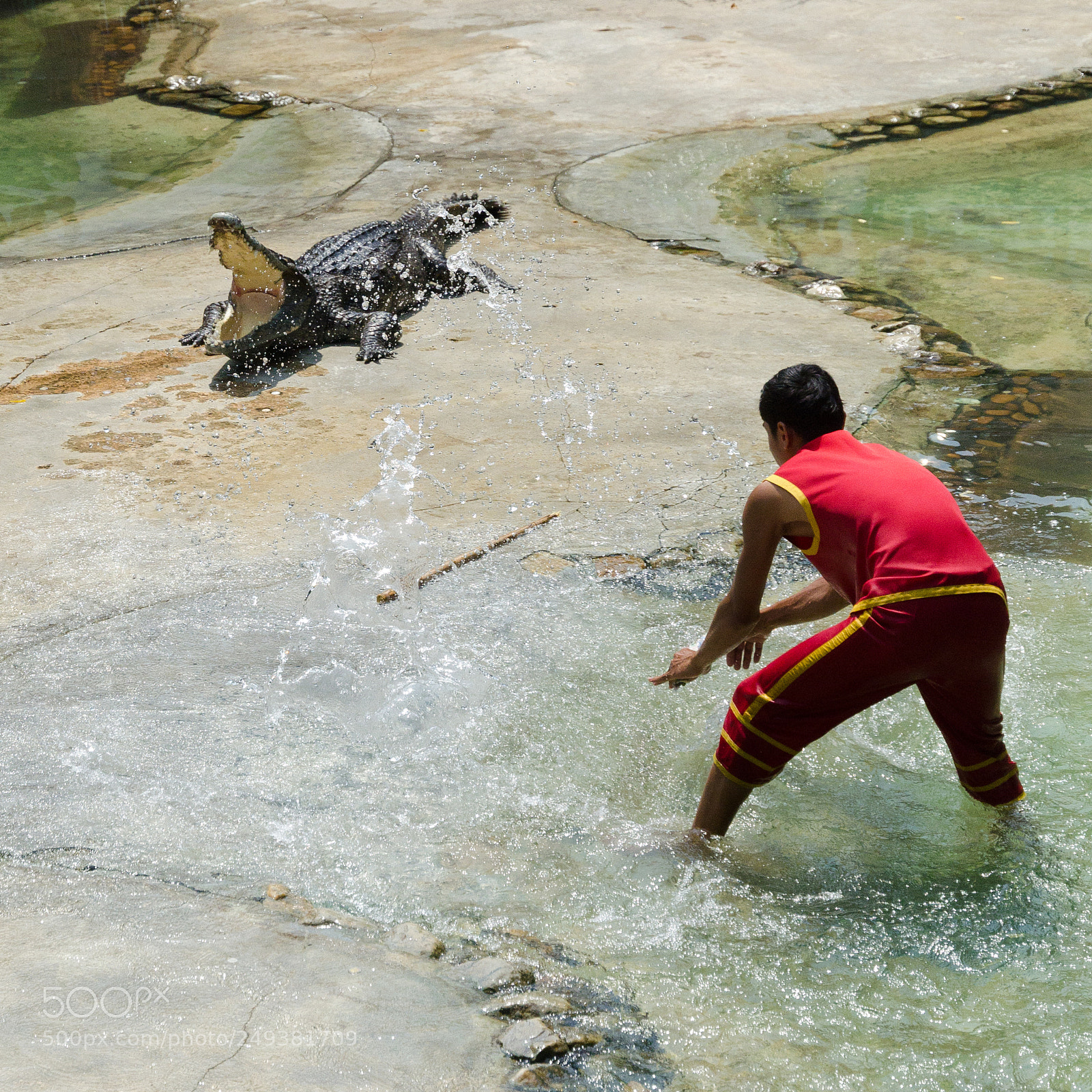 Nikon D7000 sample photo. Keeping the crocodile cool photography