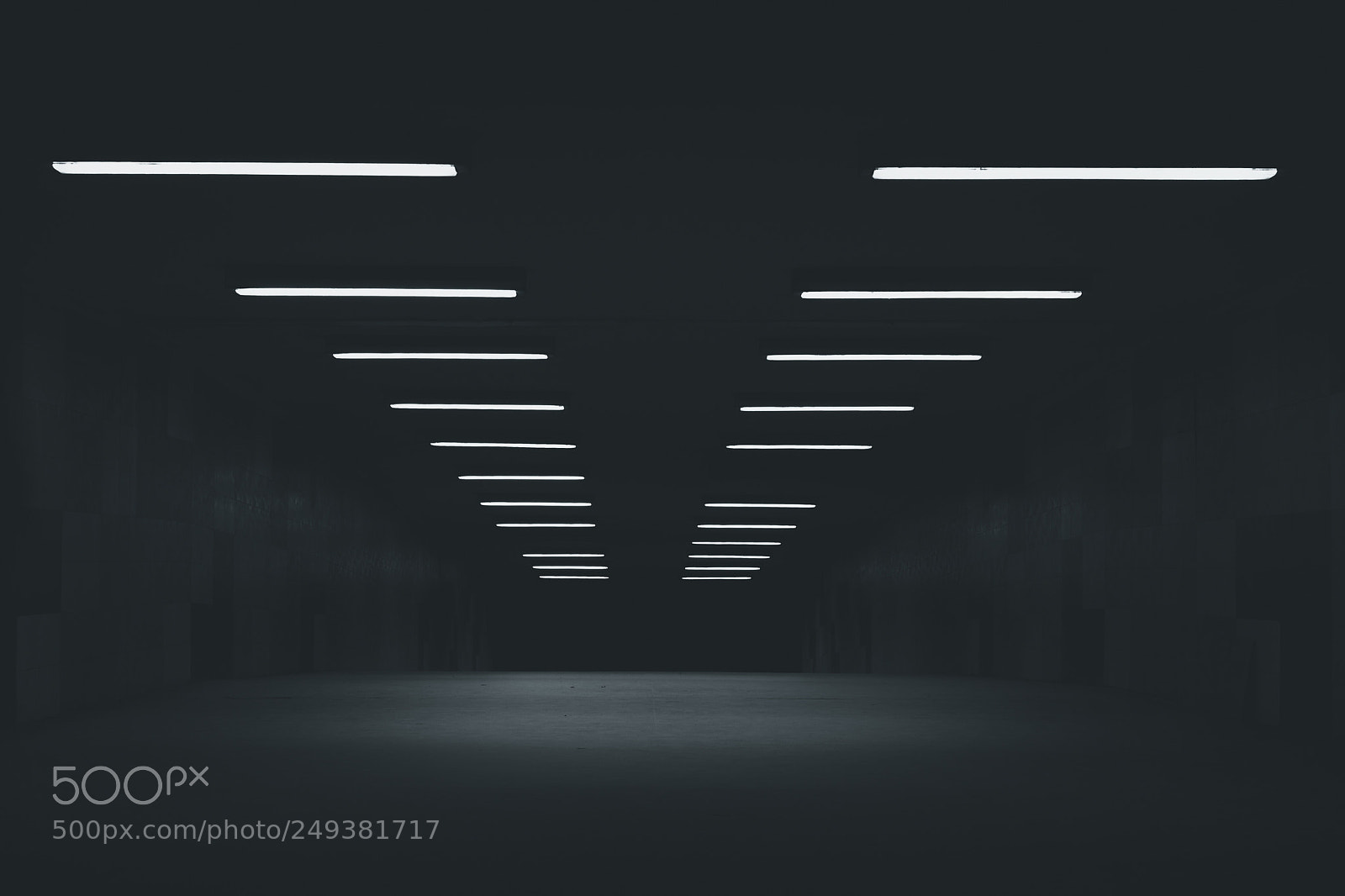 Nikon D5200 sample photo. Lights on - lights photography