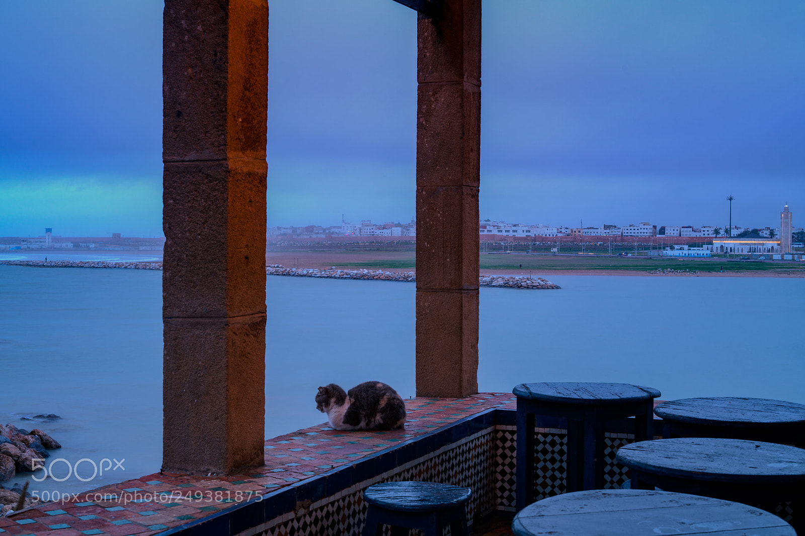 Sony a7R II sample photo. Intimité photography