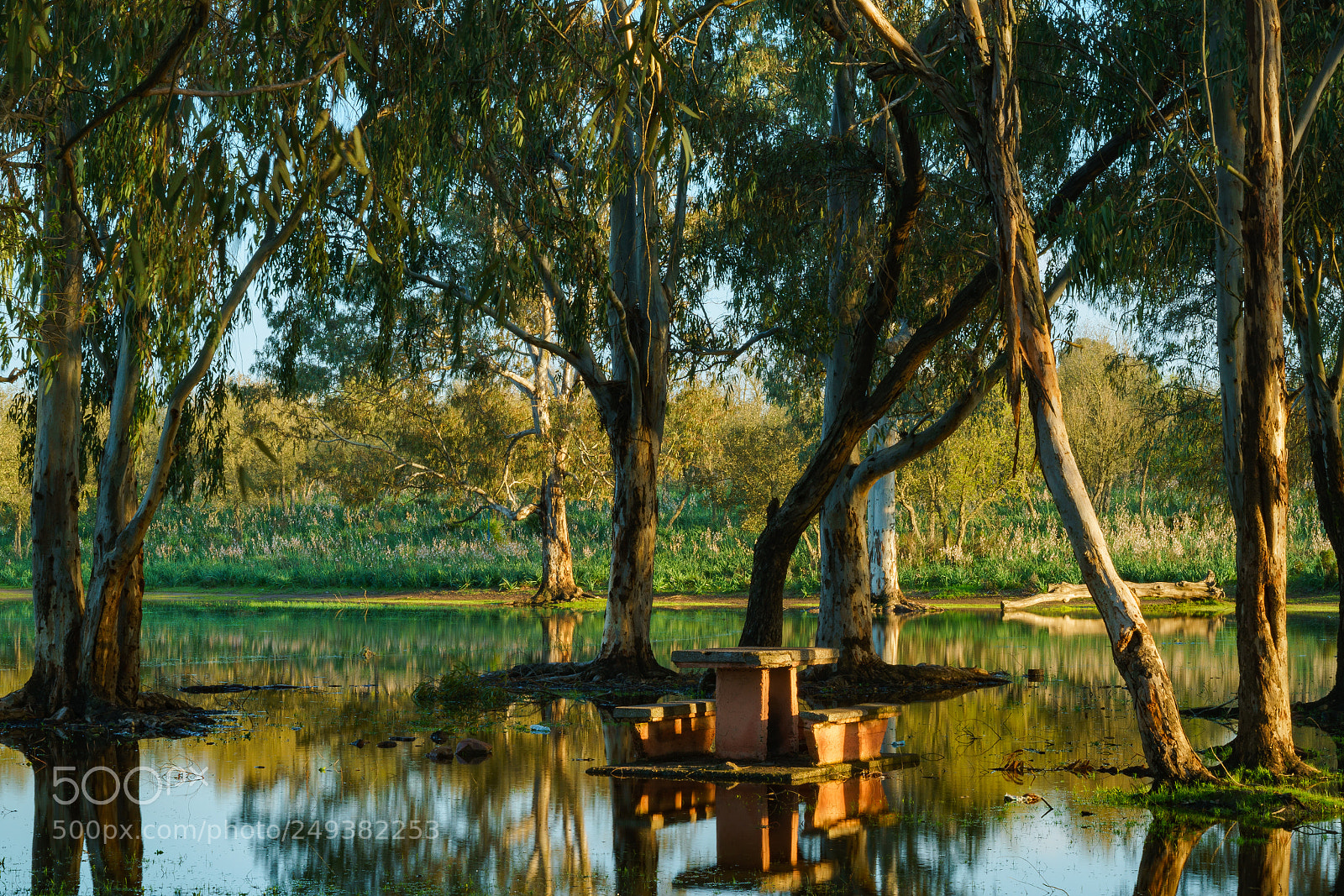 Sony a7R II sample photo. Entourage photography