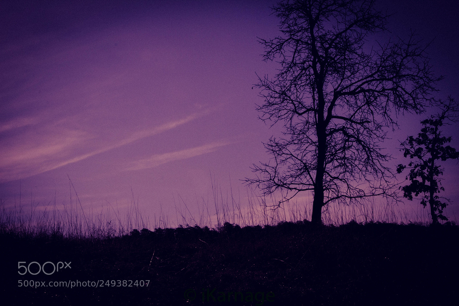 Canon EOS 600D (Rebel EOS T3i / EOS Kiss X5) sample photo. Purple sky photography