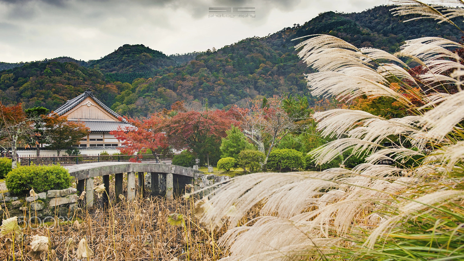 Nikon D4 sample photo. Skt photography