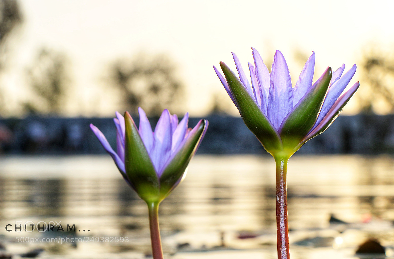 Canon EOS 7D Mark II sample photo. Untitled photography