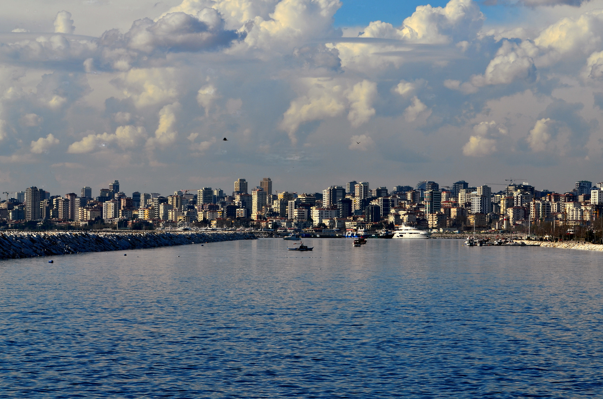 Nikon D7000 sample photo. Oa29 photography