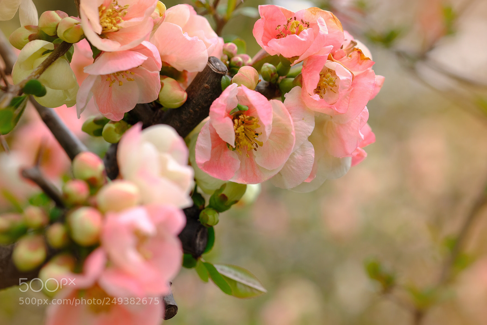 Fujifilm X-T20 sample photo. Untitled photography
