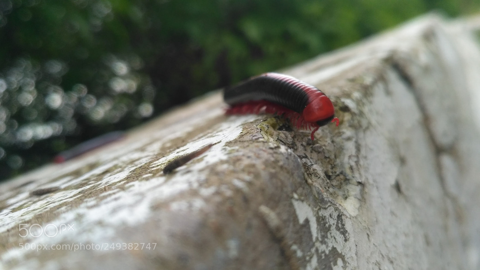 Xiaomi Redmi 3S sample photo. Untitled photography