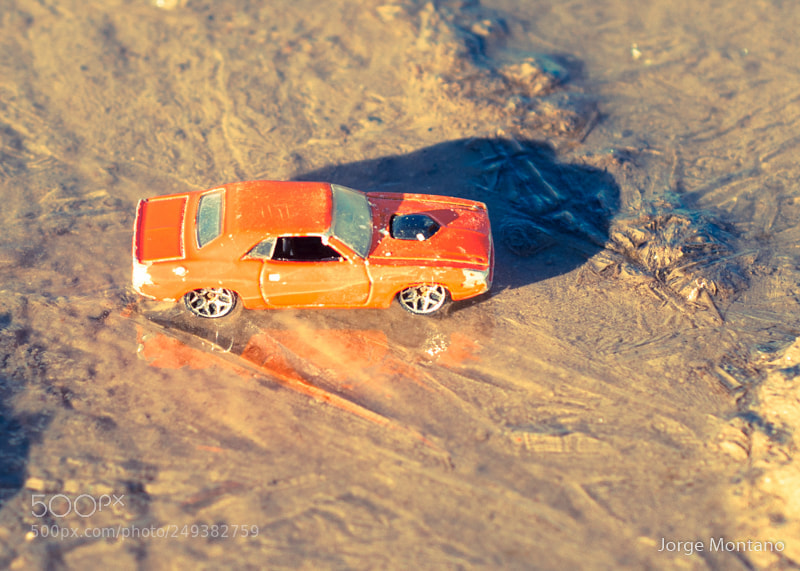 Nikon D90 sample photo. General lee photography
